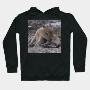 Capybara pup Hoodie